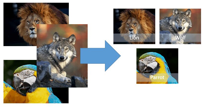 image resizing in powerpoint